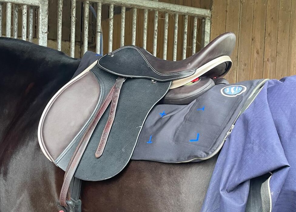 Projet ALEERIA selle de cheval adaptable prototype 1 - Studio LUBY